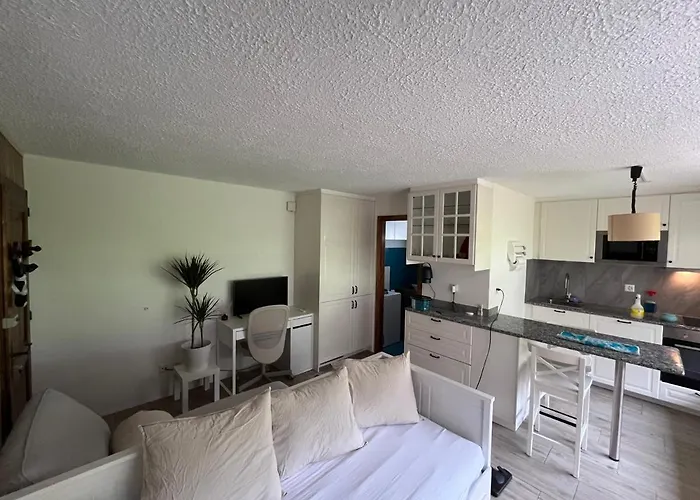 Magnifique In-ski Out - Pas De Parking Hiver