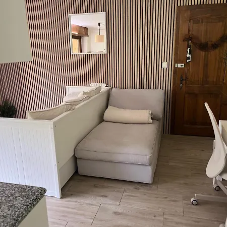 Magnifique In-ski Out - Pas De Parking Hiver וורבייה