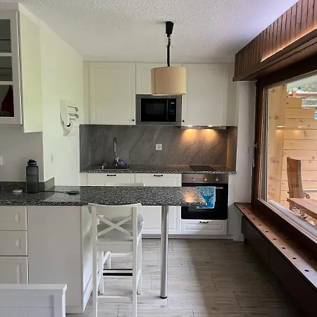 Apartman Magnifique In-ski Out - Pas De Parking Hiver